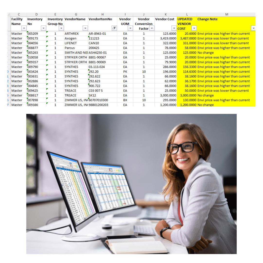 ENVI Item Master update template